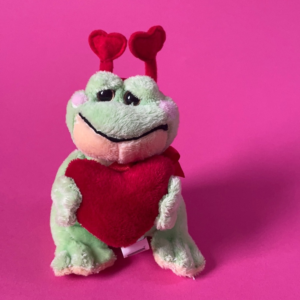 Valentines Day Frog Prince